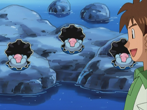 AG093 - Coquiperl.png