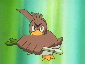 Canarticho Coupe.png