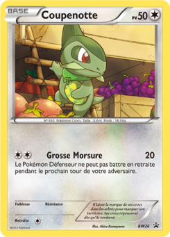 Coupenotte (Promo BW 26)