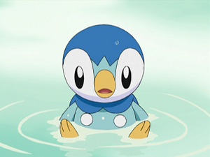 DP063 - Tiplouf d'Aurore.png