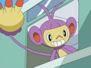 DP124 - Capidextre d'Aurore.png