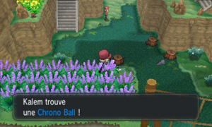 Route 19 Chrono Ball XY.png