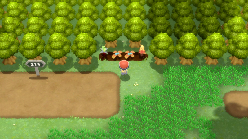 Fichier:Route 213 Arbres à Baies DEPS.png