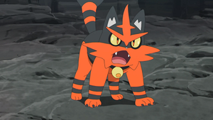 SL107 - Matoufeu de Sacha.png