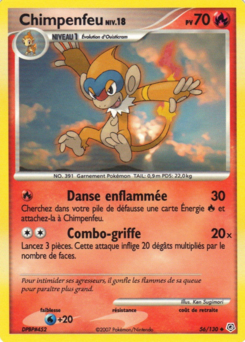Chimpenfeu (Diamant & Perle 56)