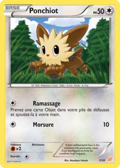 Ponchiot (Noir & Blanc Kit du Dresseur Minotaupe 1)