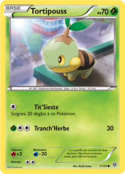 Tortipouss (Noir & Blanc Tempête Plasma 1)