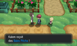 Champ de Baies Baies Pêcha XY.png