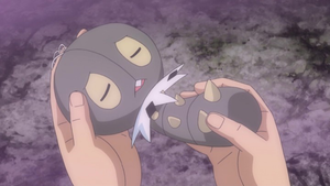 Lépidonille - Épisode spécial XY.png