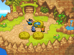 Manaphy est gravement malade.