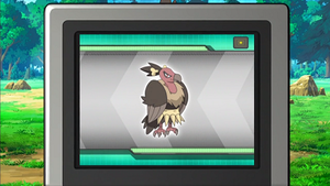 NB055 - Vaututrice Pokédex.png