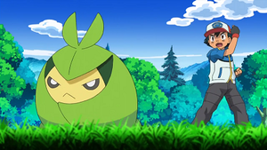 NB074 - Couverdure de Sacha.png