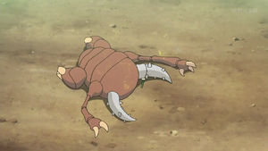 Pokémon Méga-Évolution 4 - Scarabrute d'un Dresseur.png