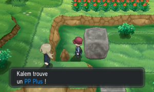 Route 21 PP Plus XY.png
