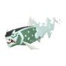Basculegion Female