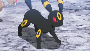 LH086 - Noctali de Spinel.png