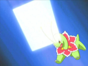 Méganium Mur Lumière.png