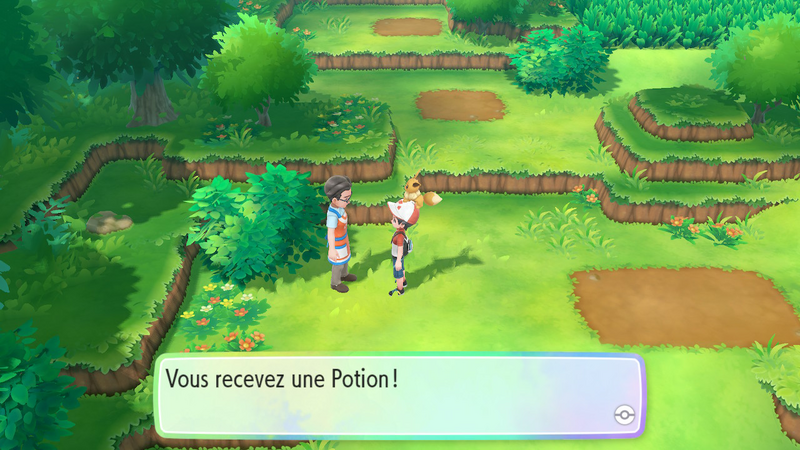 Fichier:Route 1 Potion LGPE.png