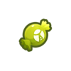 Insecte