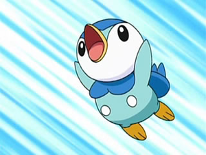 Tiplouf de Sacha.png