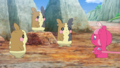 Morpeko (x3, sauvages)