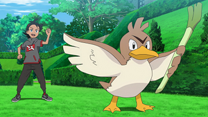 LV030 - Canarticho de Goh.png