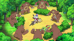 DP143 - Ursaring.png