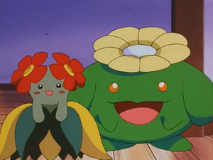 EP200 - Joliflor et Floravol de la vieille dame.png