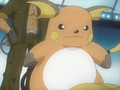 Raichu (du Major Bob)