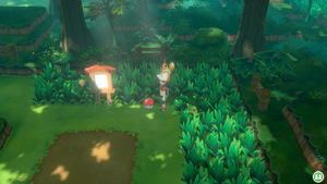 Forêt de Jade Antidote LGPE.png