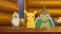 Poichigeon (sauvage) ▼ (de Sacha), Pikachu (de Sacha) et Coupenotte (d'Iris)