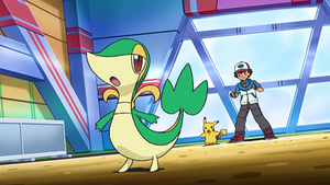 NB010 - Vipélierre de Sacha.png