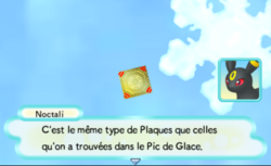 Noctali remarque des Plaques d'Encryption similaires à celles trouvées au pied du Palais.