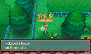Route 121 Rappel Max ROSA.png