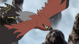 XY110 - Flambusard de Sacha.png