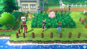 Expert Rapasdepic.jpg