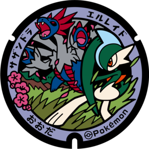 Poké Lid 379 Oda.png