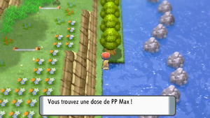 Route 224 PP Max DEPS.png