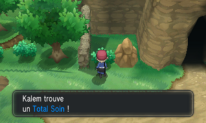 Route Victoire Total Soin XY.png