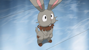 XY105 - Sapereau de Lem.png