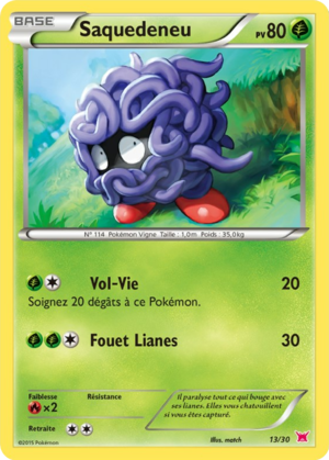 Carte XY Kit du Dresseur Latias 13.png
