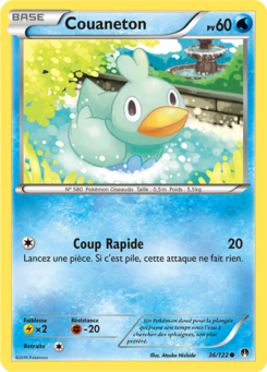 Couaneton (XY Rupture TURBO 36)