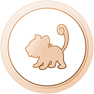 Médaille Gamin Bronze - GO.png