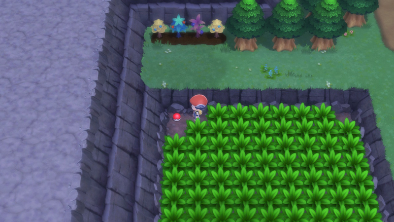 Fichier:Route 207 Poké Ball DEPS.png