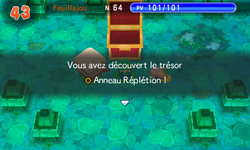 …renfermant l'Anneau Réplétion !