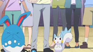 LH058 - Azumarill et Pachirisu d'un Dresseur.png