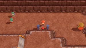 Route 207 Super Potion DEPS.png