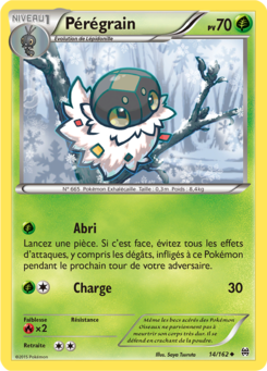 Pérégrain (XY Impulsion TURBO 14)
