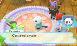 Le partenaire désigné pour présenter son vœu.
