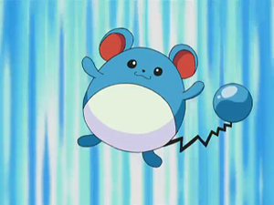 DP145 - Marill de Célesta.png